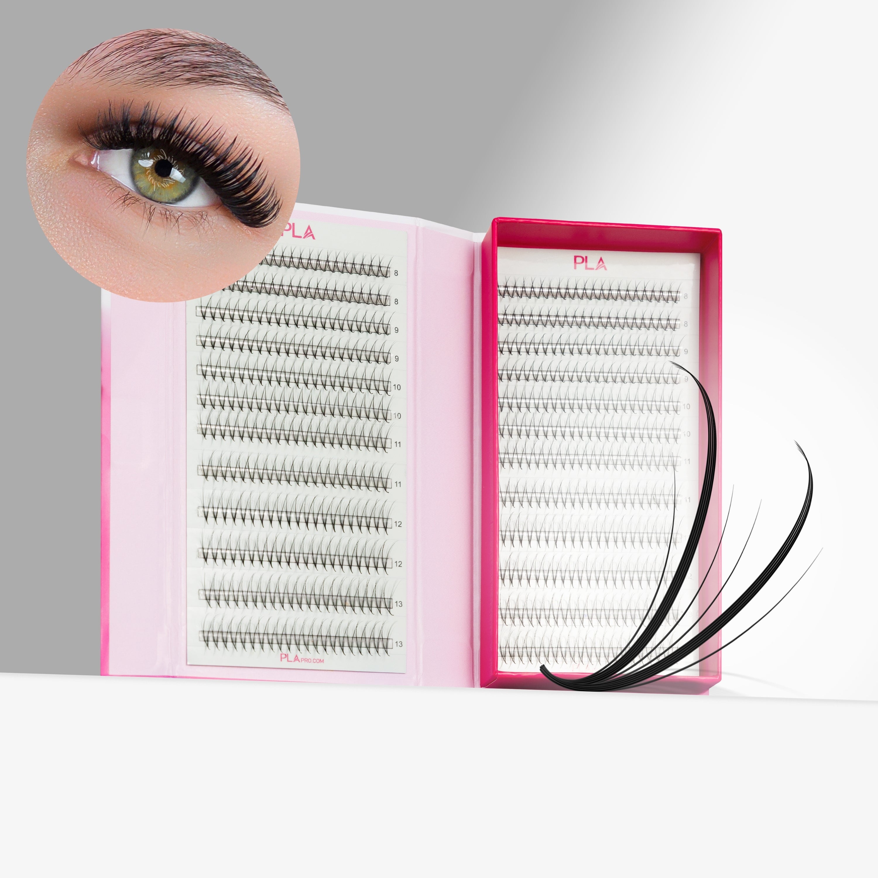 6D Double Spike ProMade Fans - 0.03 – Paris Lash Academy