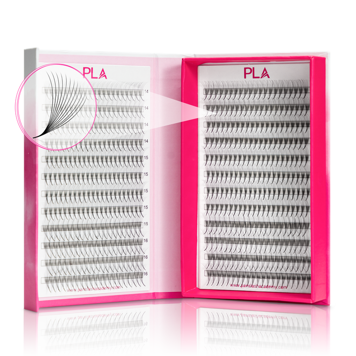 The BOLD Collection: 12D ProMade Fans