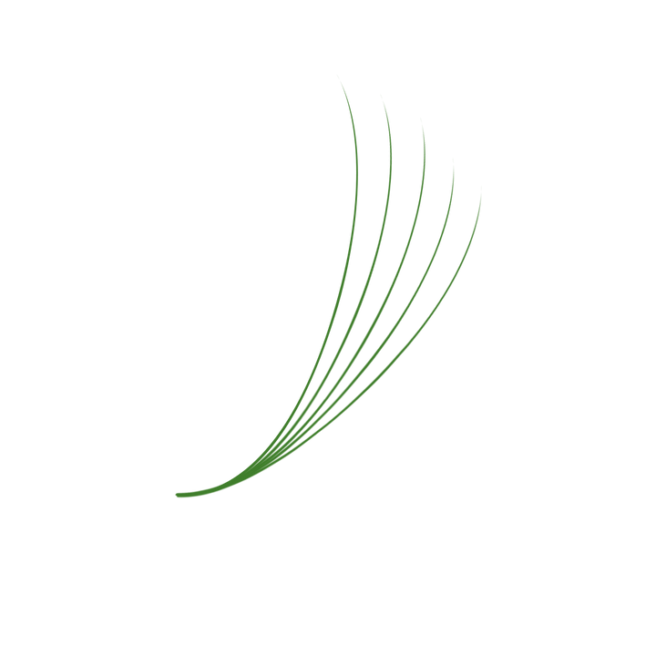 The Bold Collection: Green Mix 5D ProMade Fans