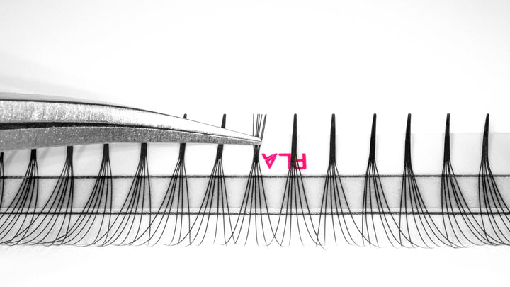 PLA ProMade Lashes — 2.0 (close up of promade fan base)