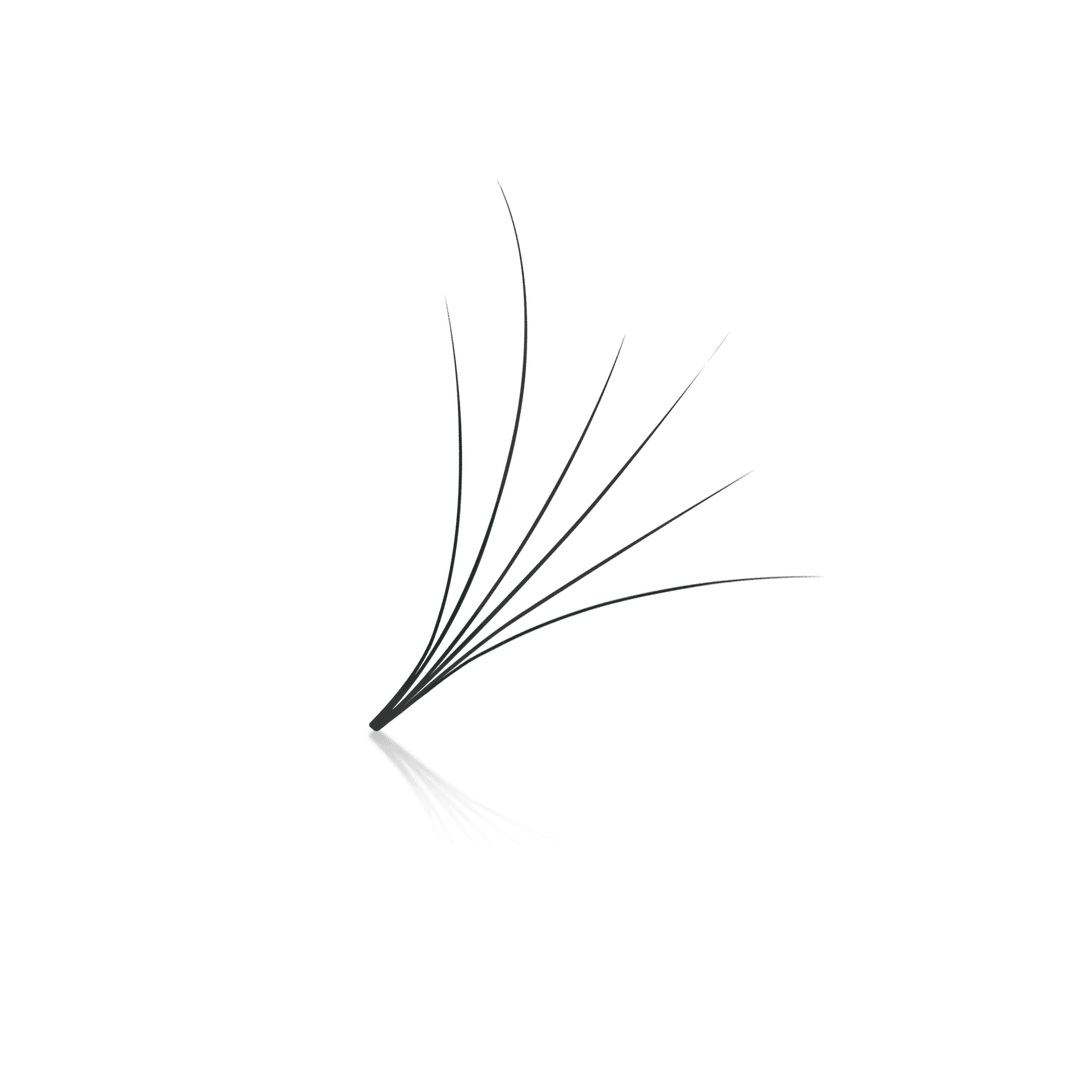 Camellia 6D ProMade Fans - 0.07 - Paris Lash Academy