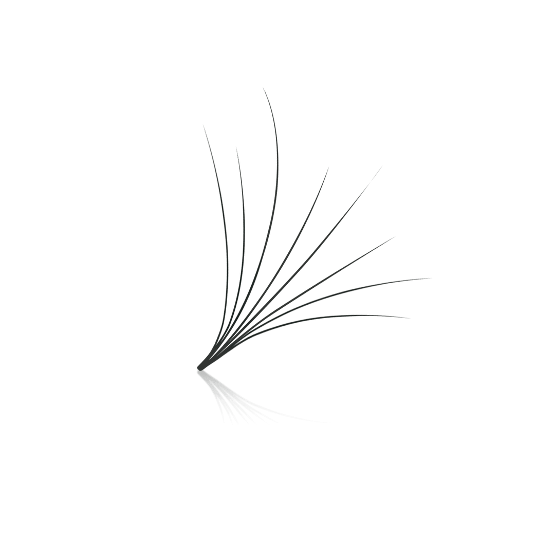 Camellia 8D ProMade Fans - 0.05 - Paris Lash Academy