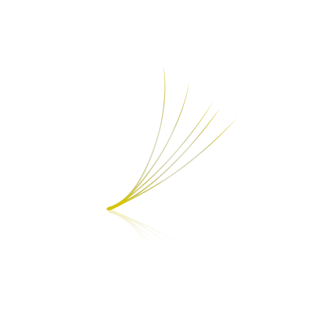 PLA Lemon Lashes — Loose Fans (individual view of the lash fan)