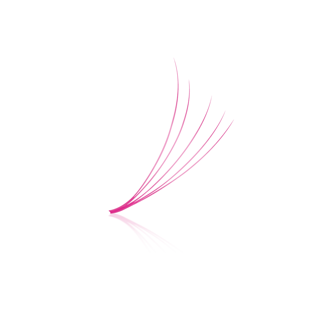 Pink 5D ProMade Loose Fans - 0.07 - 475-530 Fans - Paris Lash Academy