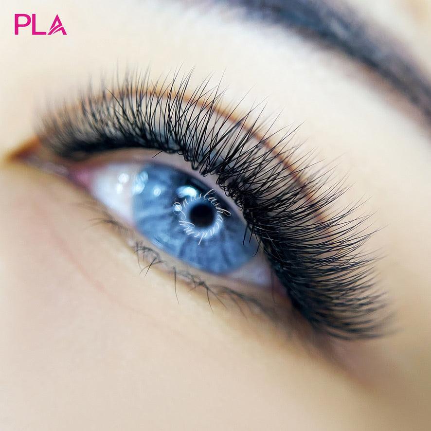 Faux Mink Lashes vs Real Mink Lashes