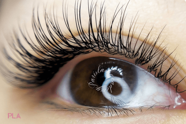 Classic Vs. Volume Lashes - Paris Lash Academy