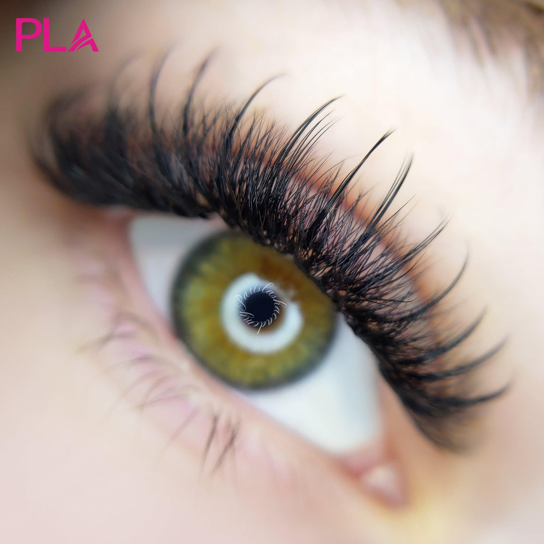Top 10 Questions About Lash Extensions Answered: A Blog Post by PLA