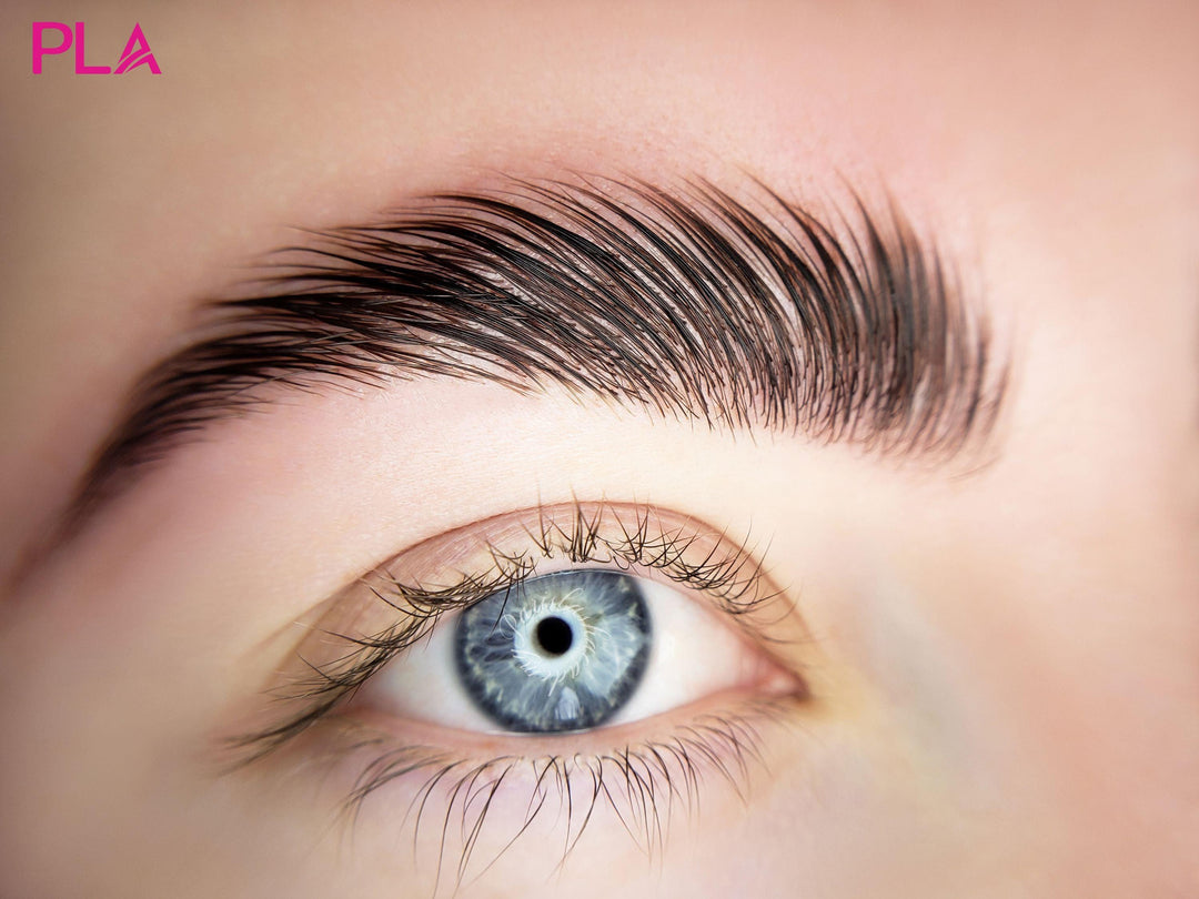 The Ultimate Brow Lamination Guide: A Blog Post by PLA