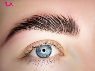 The Ultimate Brow Lamination Guide