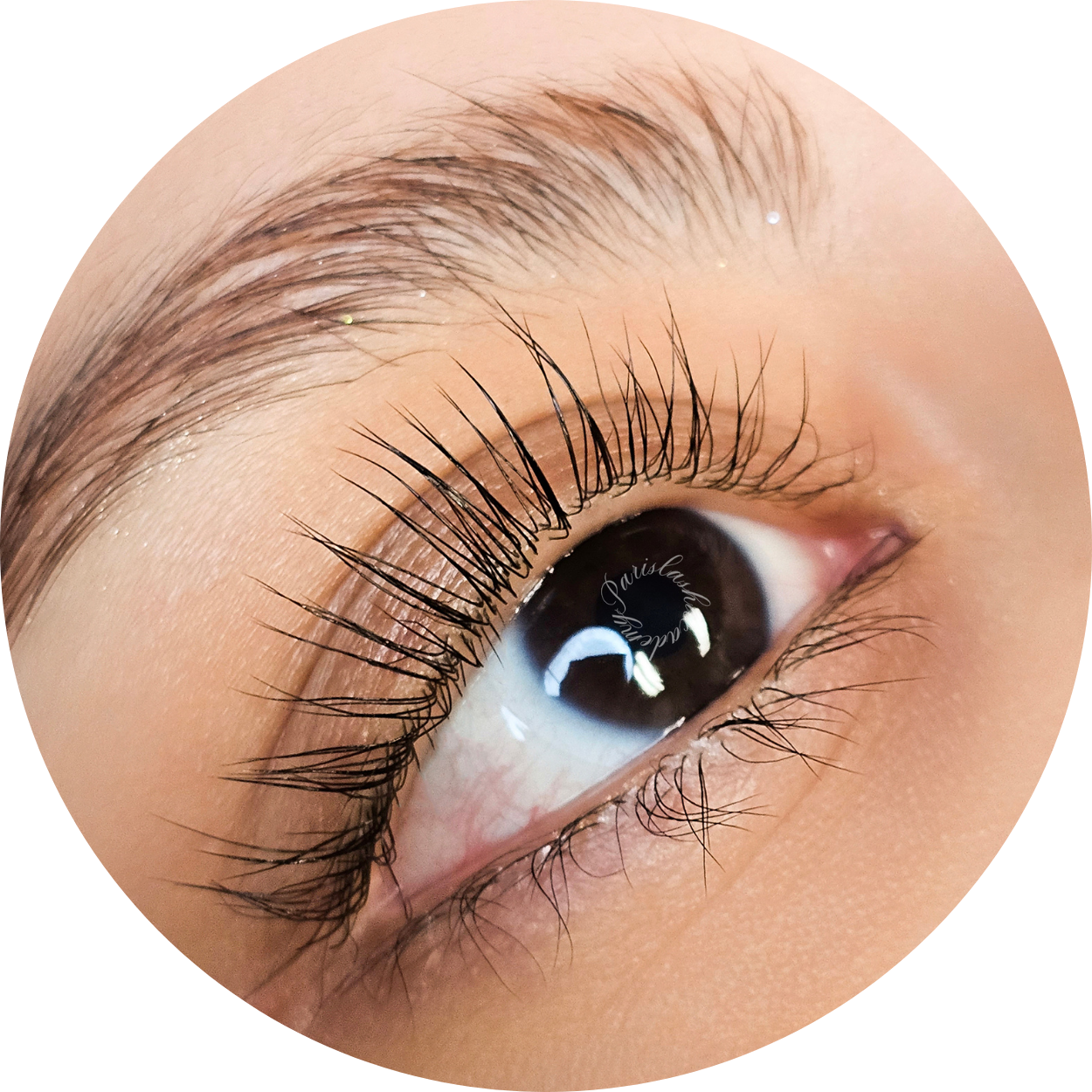 Lash Lift and Tint