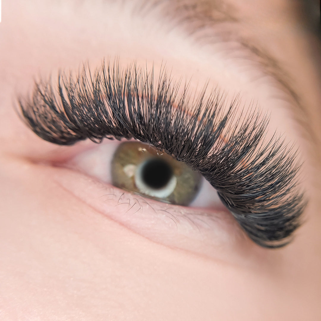 Camellia 0.07 Lash Tray
