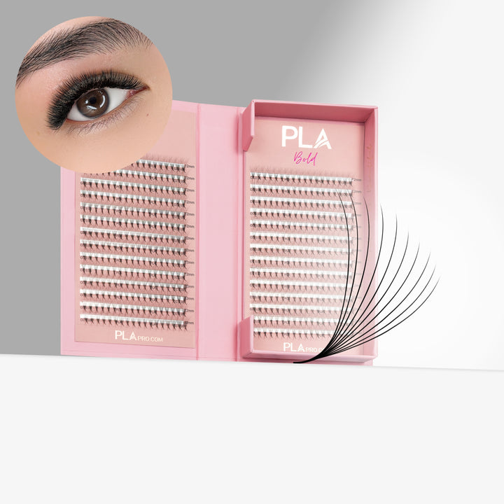 The BOLD Collection: 10D ProMade Fans