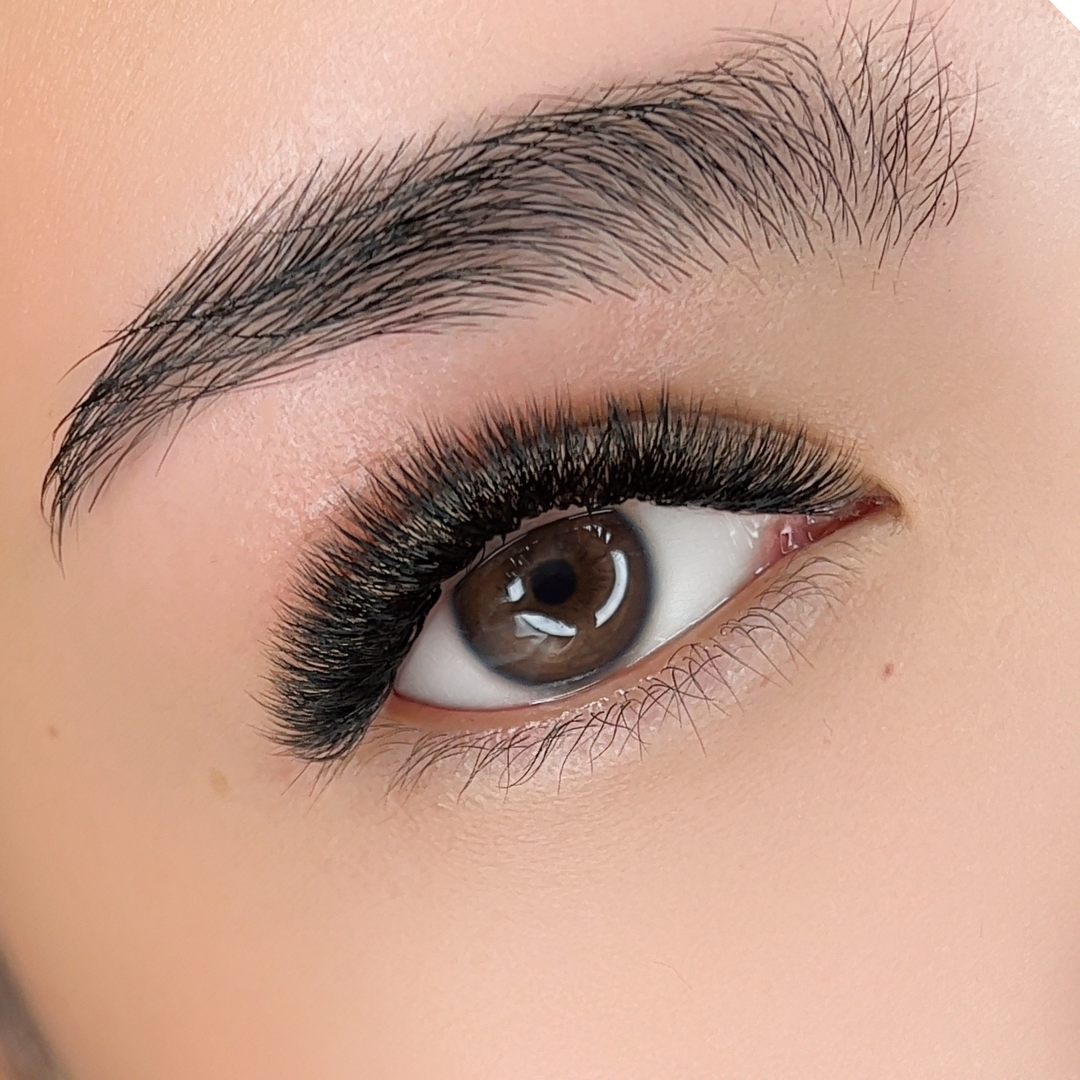 The BOLD Collection: 10D ProMade Fans