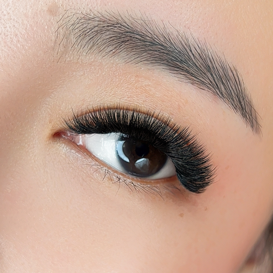 The BOLD Collection: 14D ProMade Fans