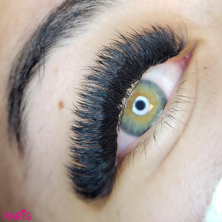 16D Mix Express Fans - Paris Lash Academy