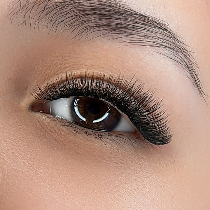 Clover 4D 0.07 Lash Trays