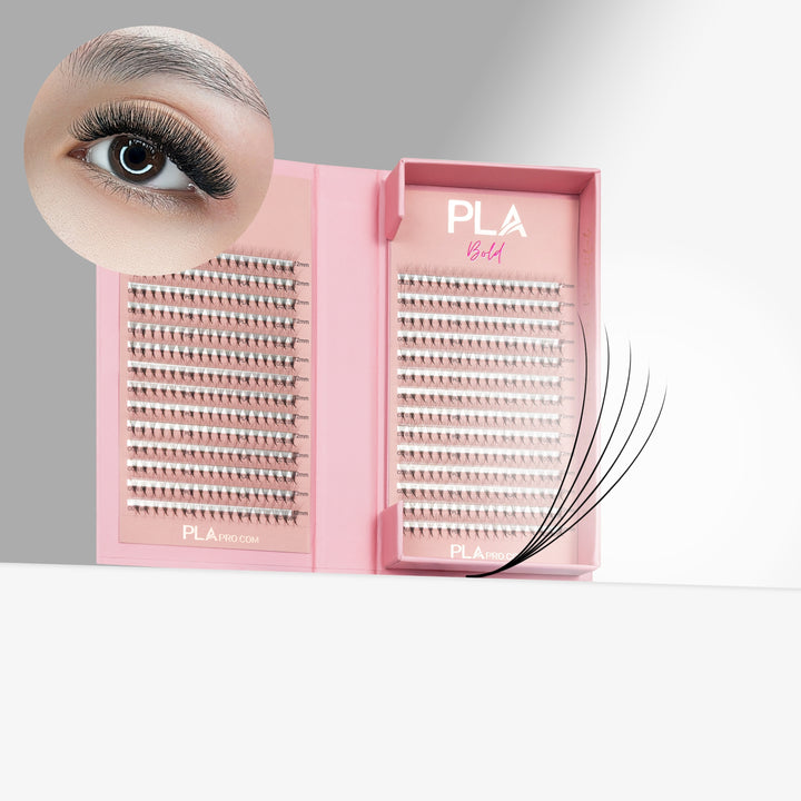 The BOLD Collection: 5D ProMade Fans