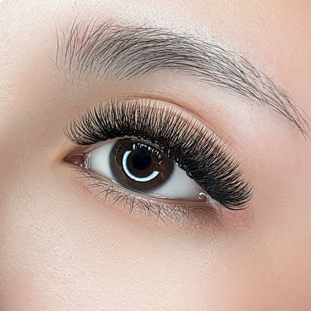 The BOLD Collection: 5D ProMade Fans