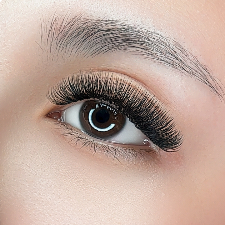 The BOLD Collection: 5D ProMade Fans