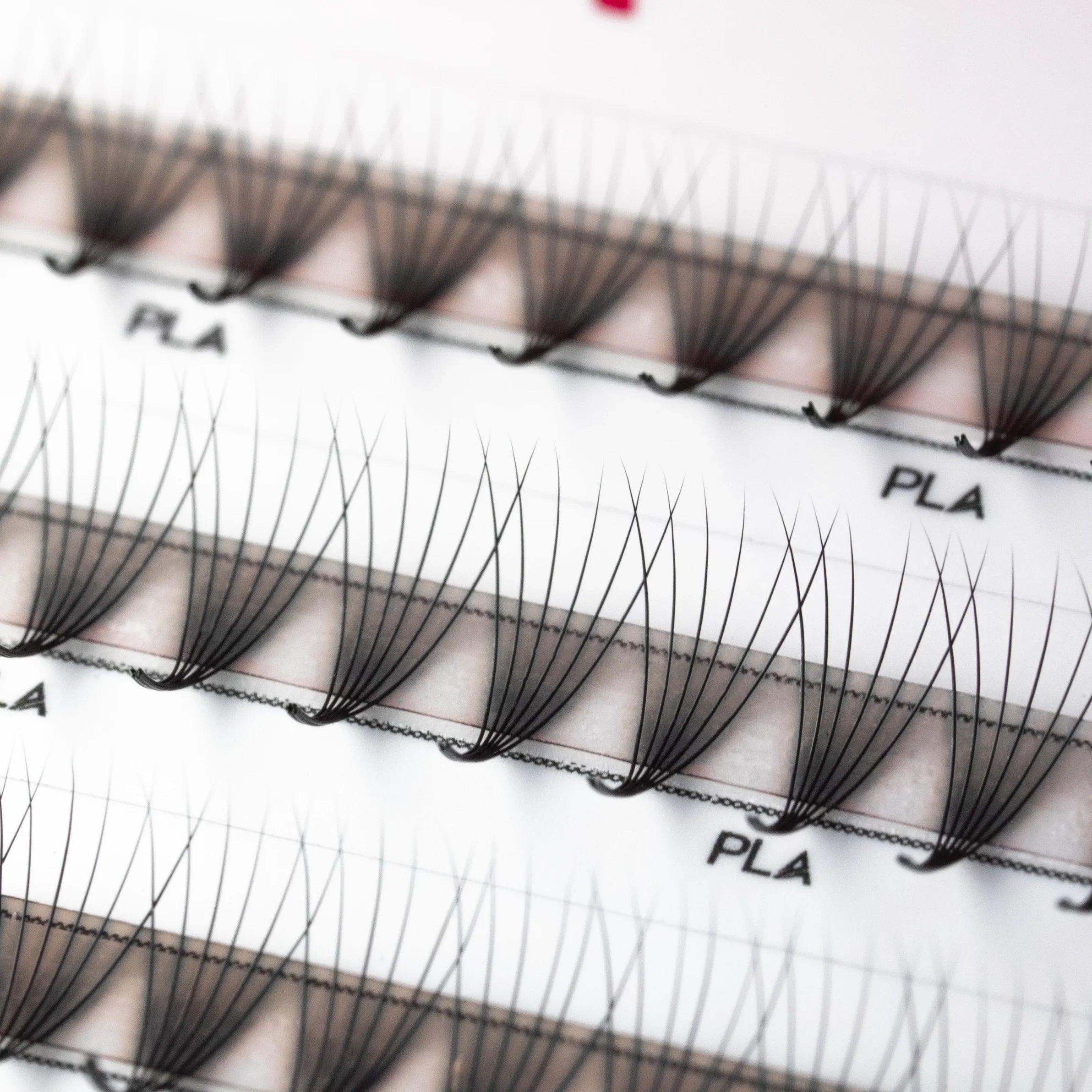 PLA Lash Extension Samples - 6D ProMade 2.0 (close up view of promade fans in tray)