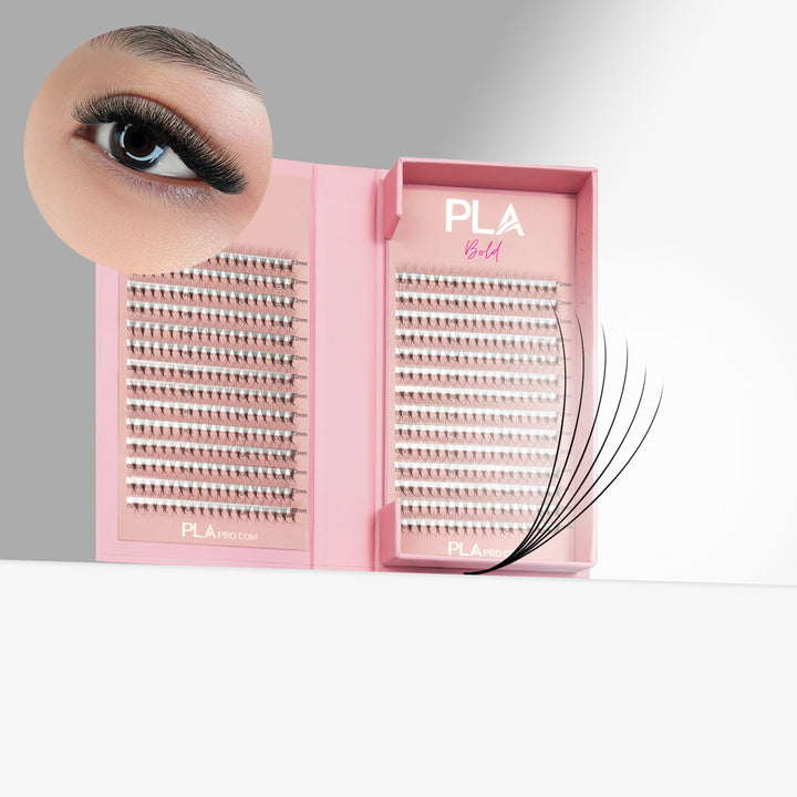 The BOLD Collection: 6D ProMade Fans