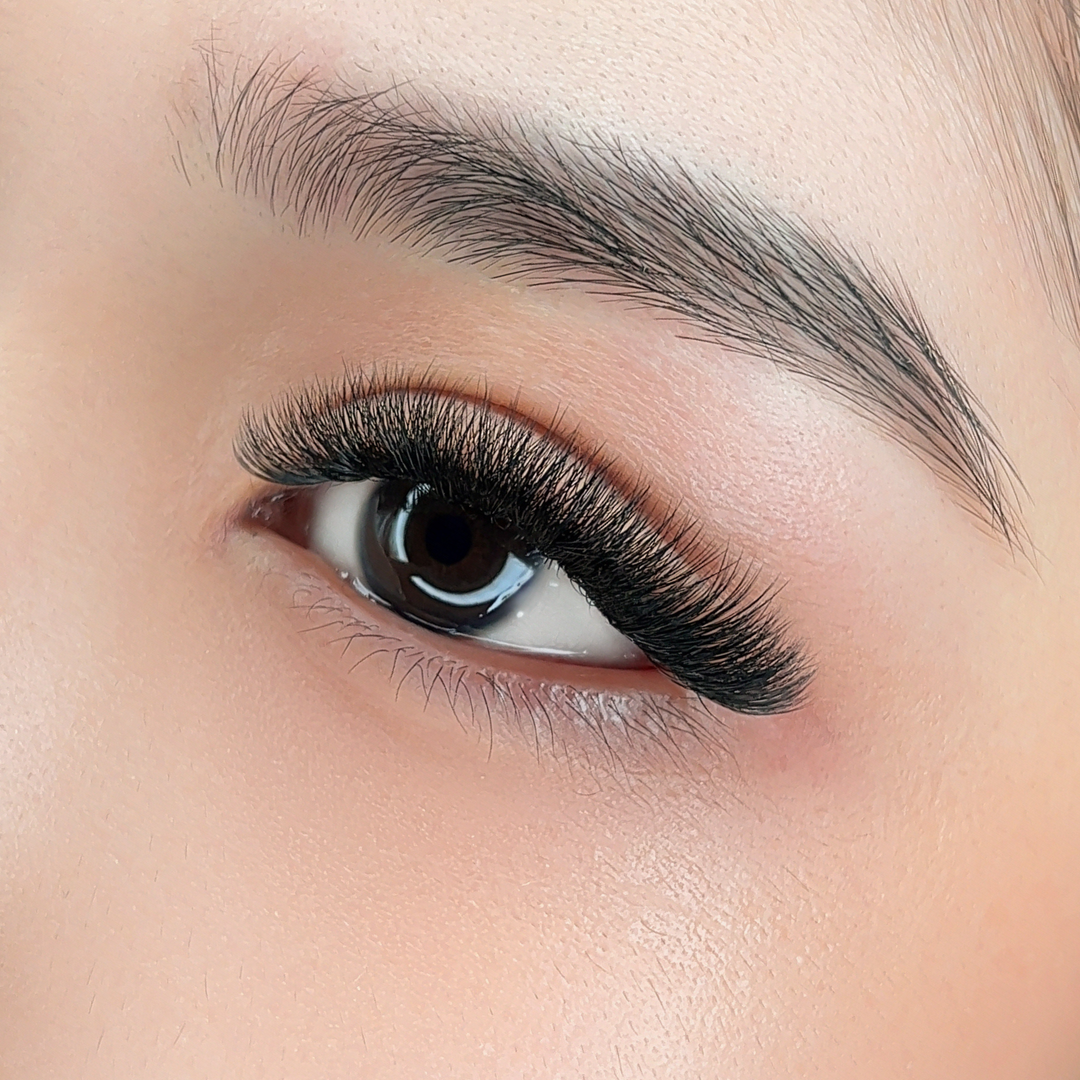 The BOLD Collection: 6D ProMade Fans