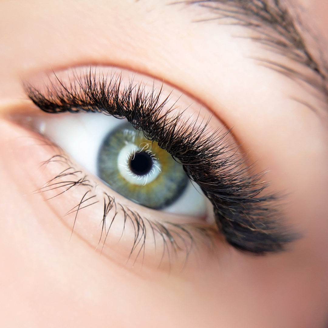 The BOLD Collection: LC Curl Mix ProMade Fans