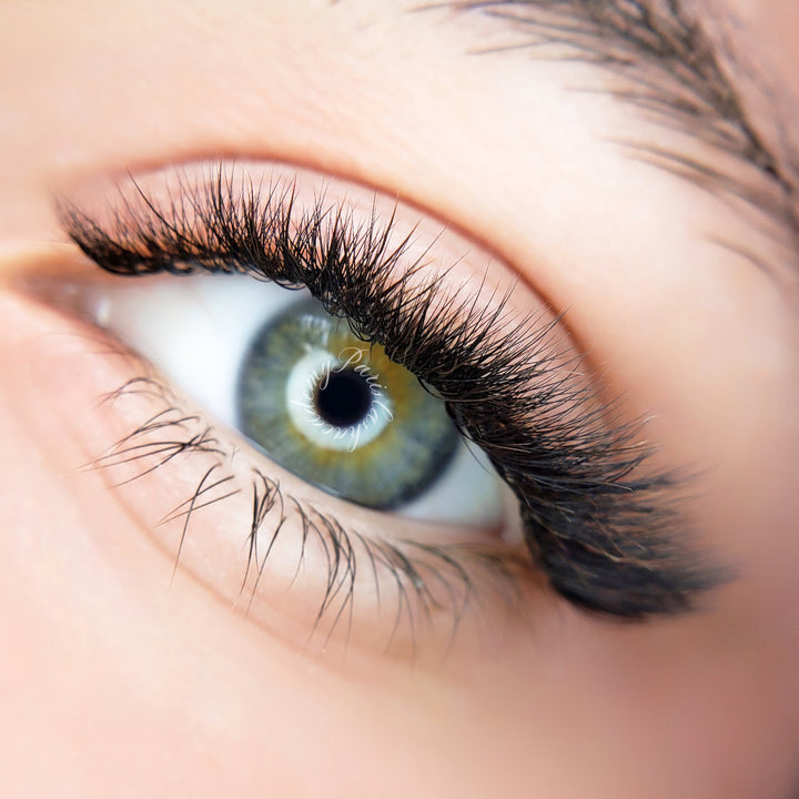 The BOLD Collection: LC Curl Mix ProMade Fans