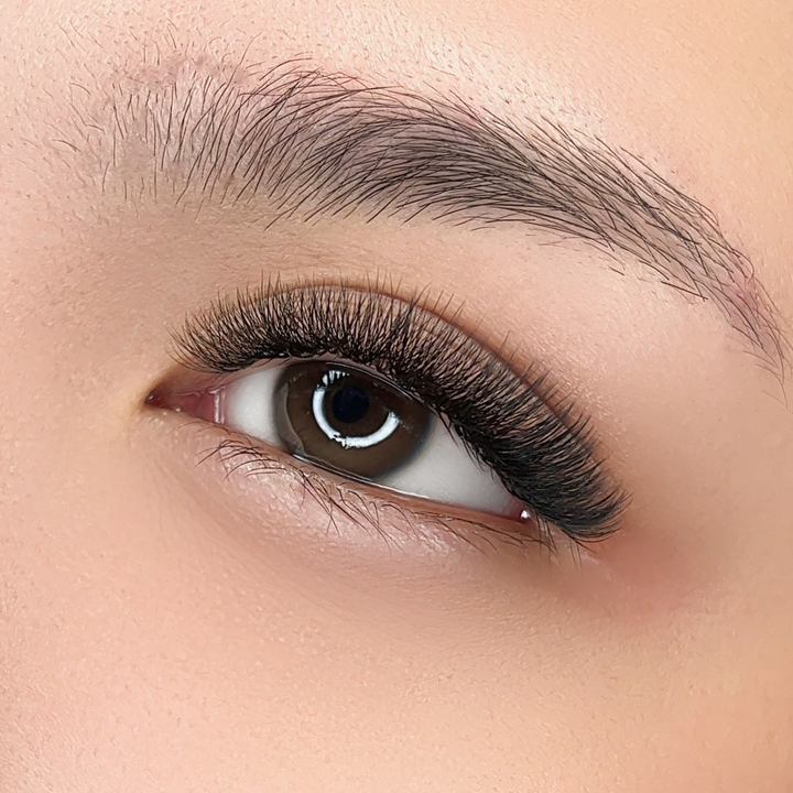 The BOLD Collection: 7D ProMade Fans