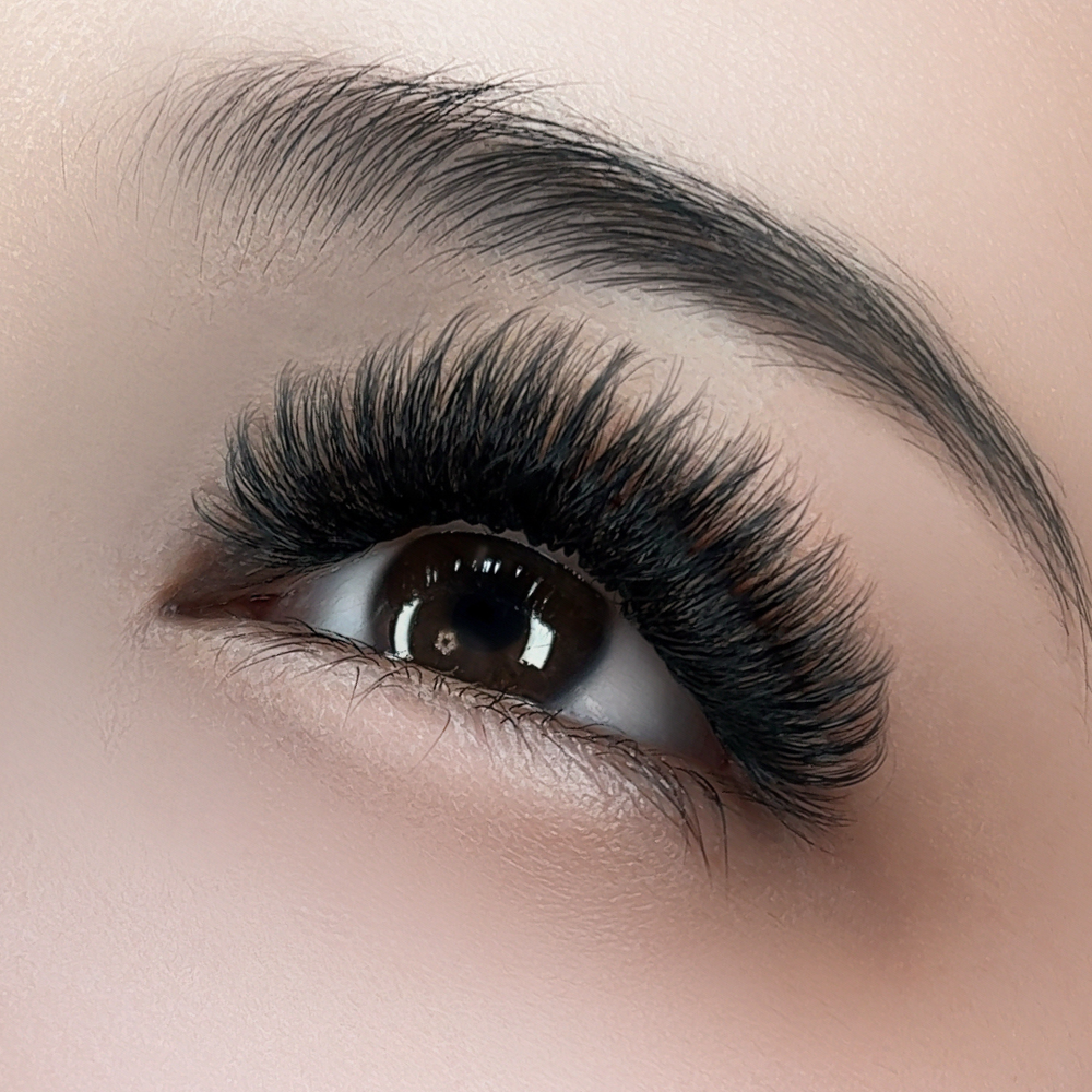 Close-up of a human eye wearing dramatic, long, 9D Wispy Promade lash extensions with a neatly shaped eyebrow and smooth skin.