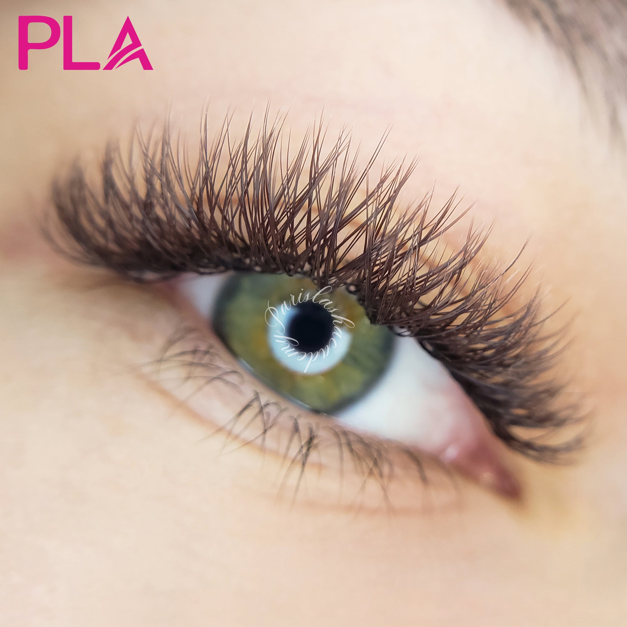 YY Brown 0.07 Lash Tray – Paris Lash Academy