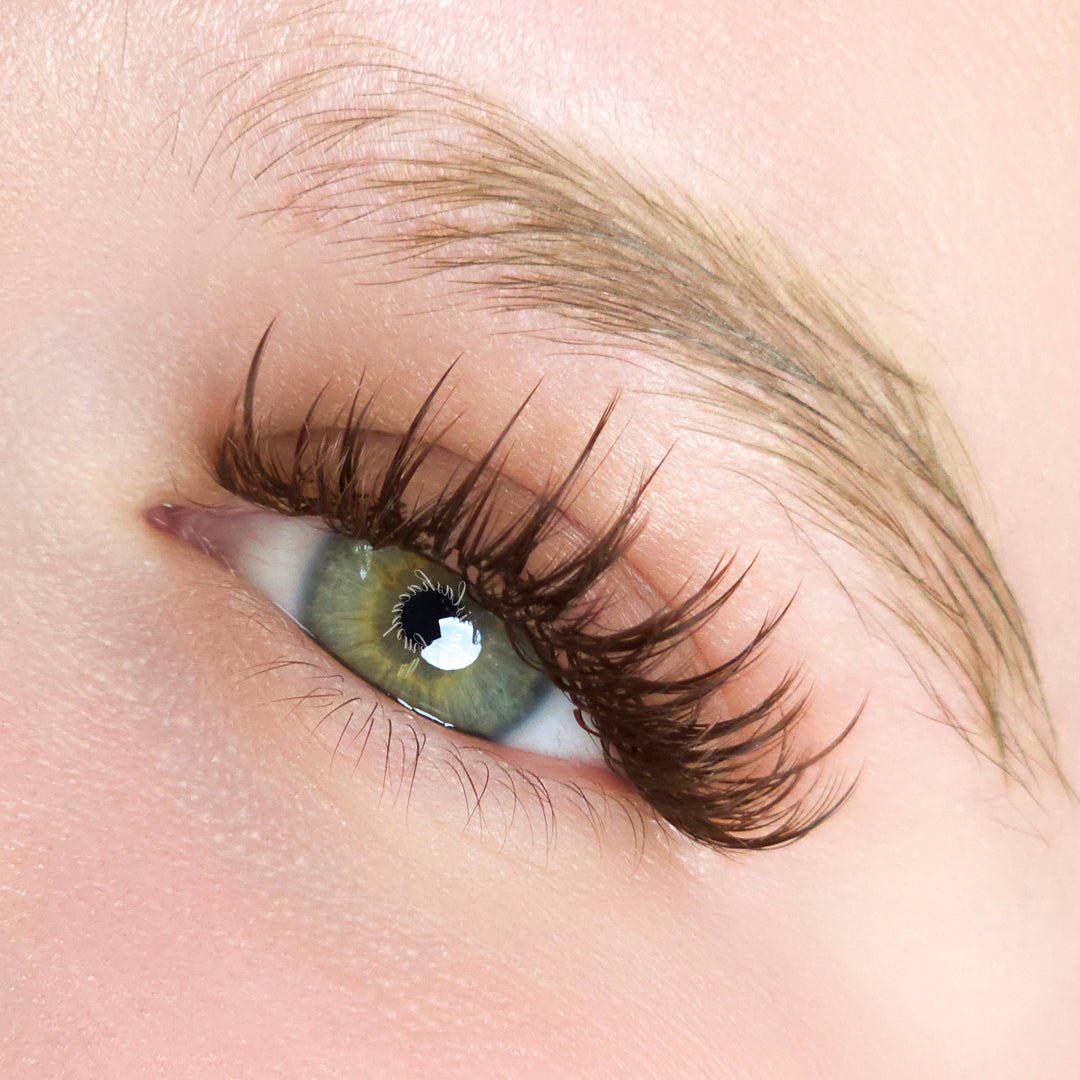 Wet Set Lashes from PLA — Light Brown Lash Extensions (front view of the open lash tray)