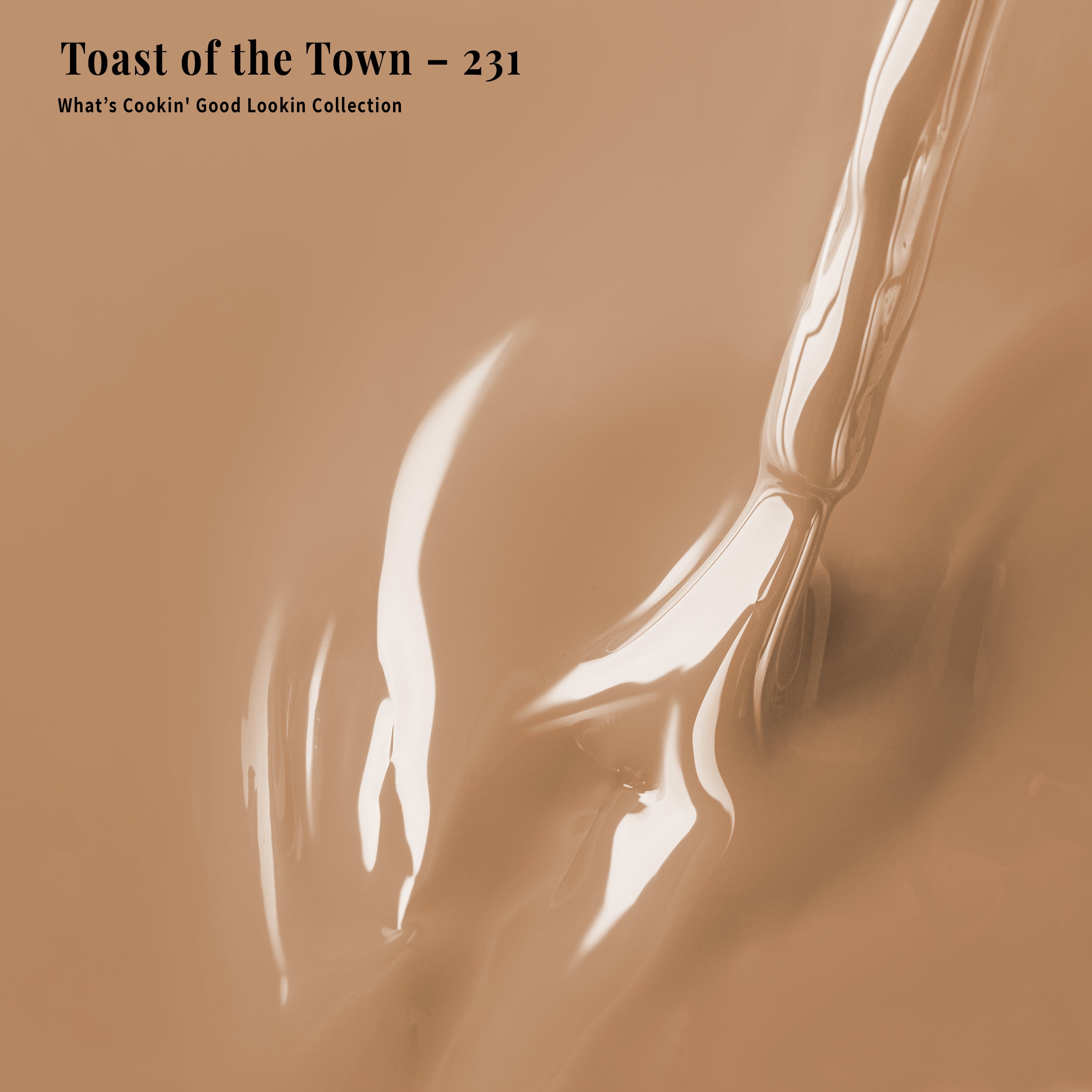 4-in-1 Toast of the Town - 231