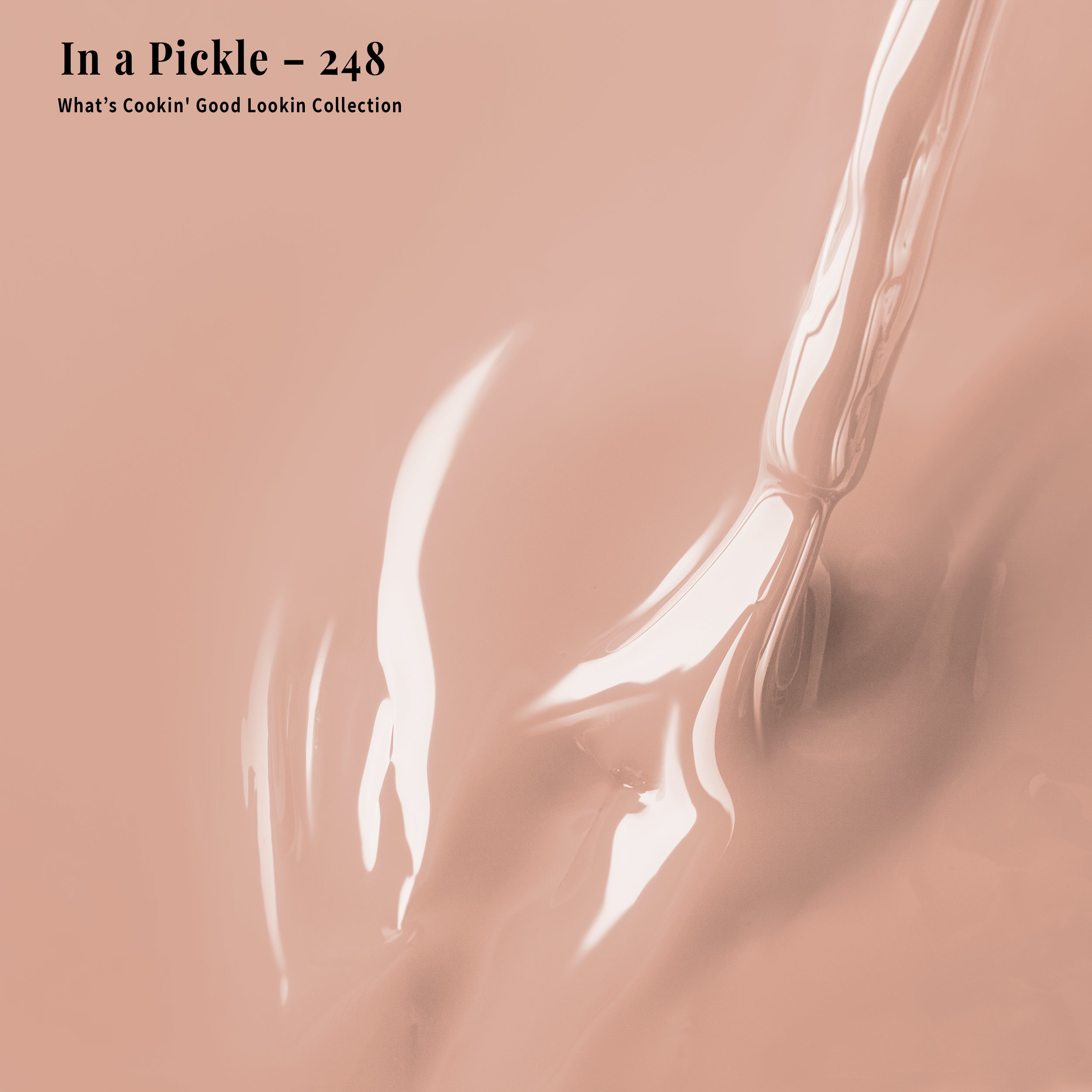 4-in-1 In a Pickle - 248