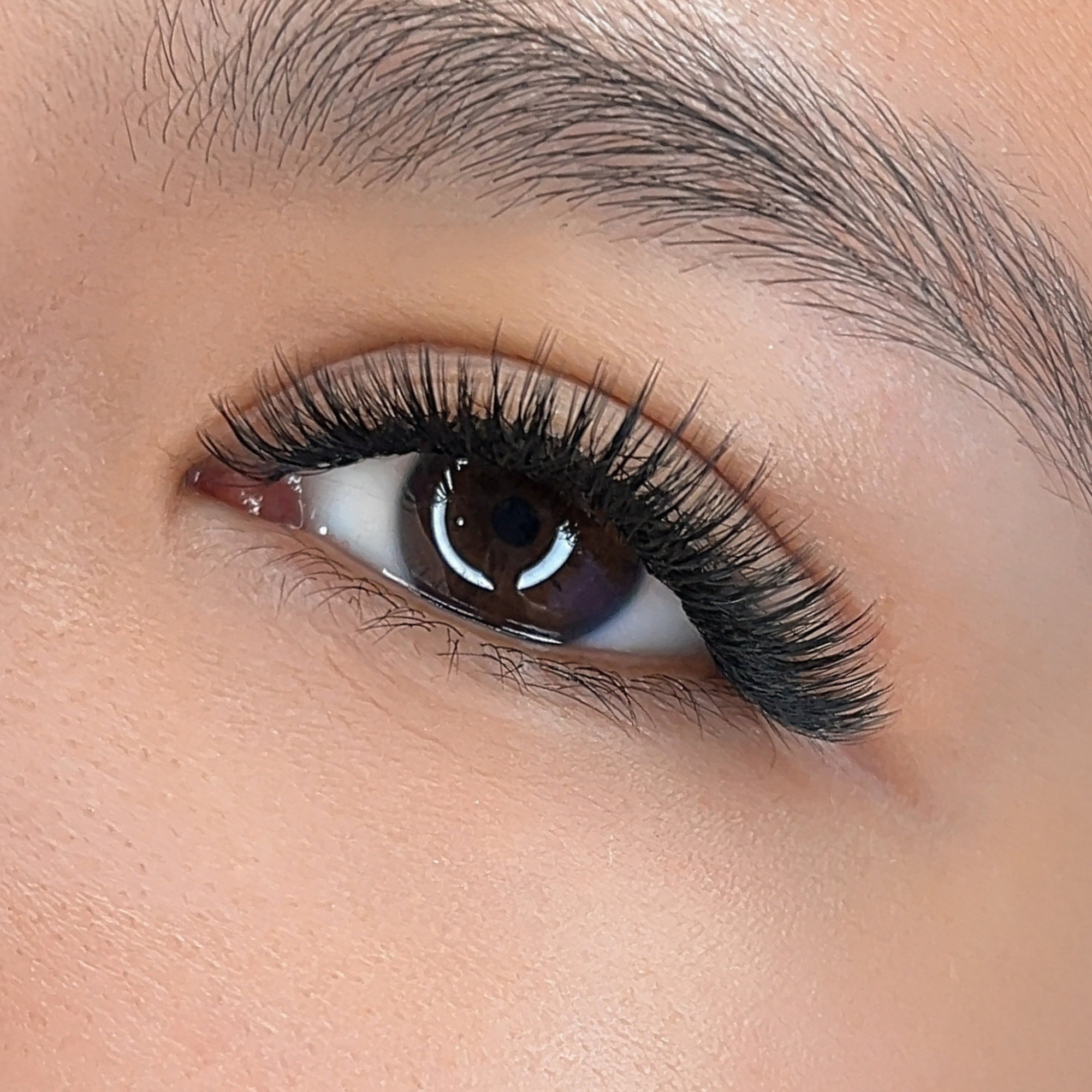 Fairy 0.07 Lash Tray