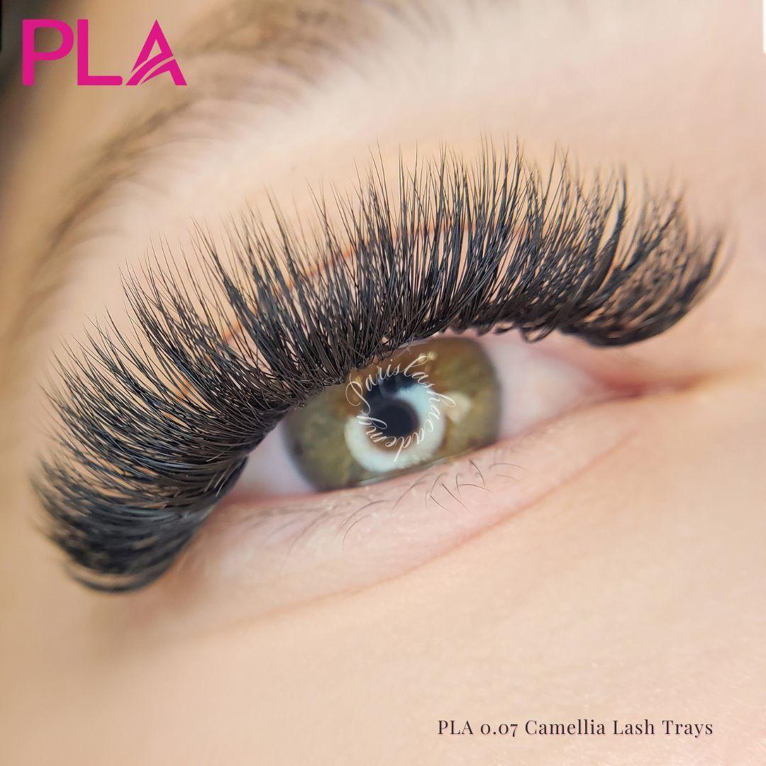 Wispy lash extensions from PLA: Lash Set Using PLA Camellia Lash Tray