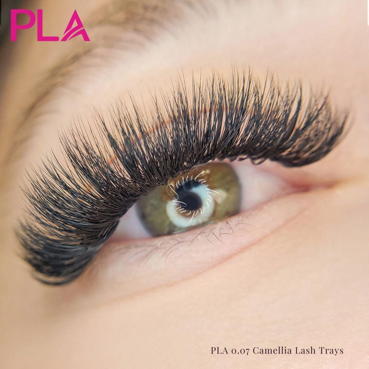 Wispy lash extensions from PLA: Lash Set Using PLA Camellia Lash Tray