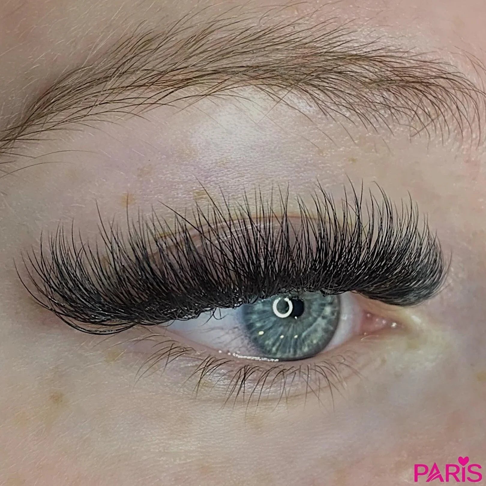 Camellia 5D ProMade Fans - 0.07 - Paris Lash Academy