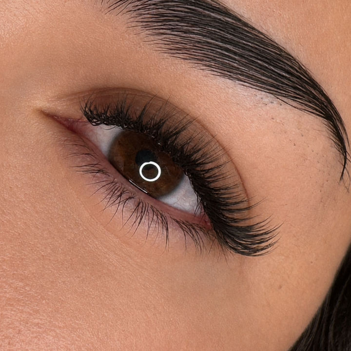 Foxy YY Lash