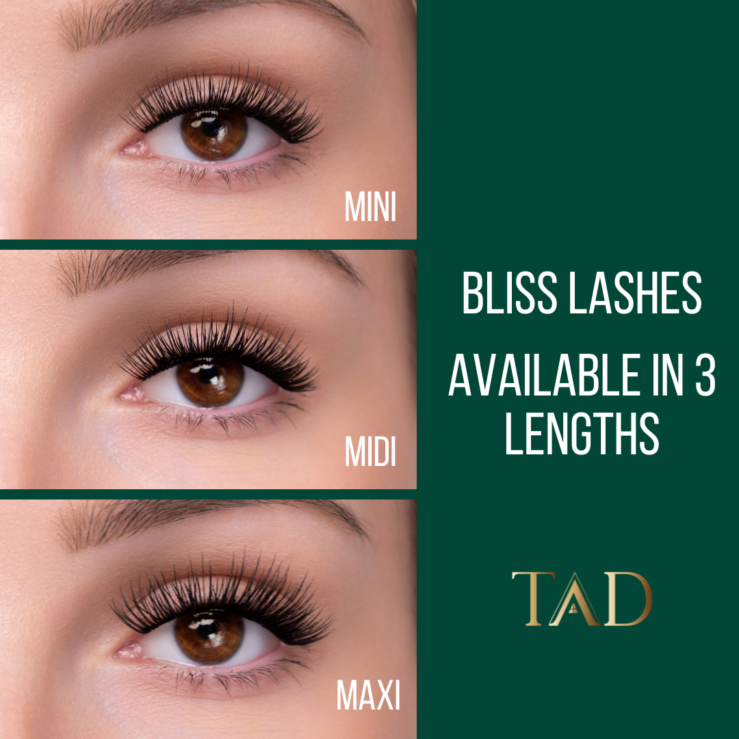TAD Starter DIY Lash Kit