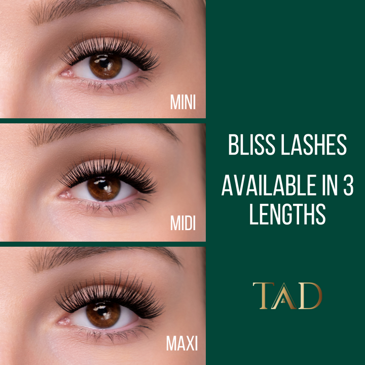 TAD Starter DIY Lash Kit