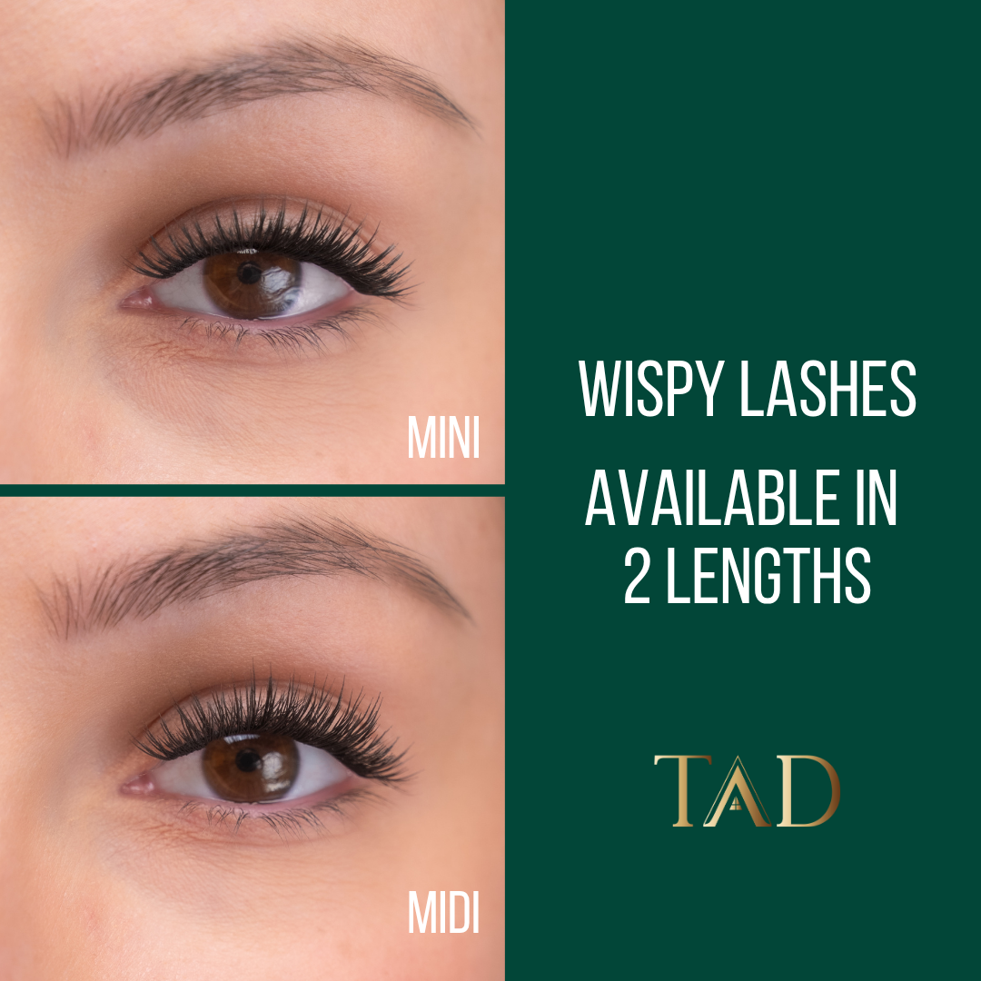 TAD Starter DIY Lash Kit