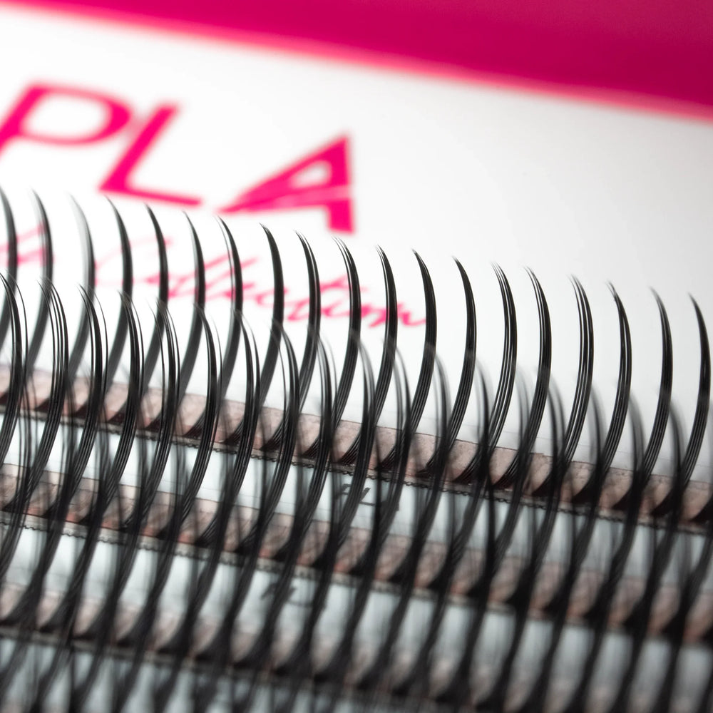 PLA Lash Extension Samples - Wet  Set ProMades (close up view of promade fans in box)