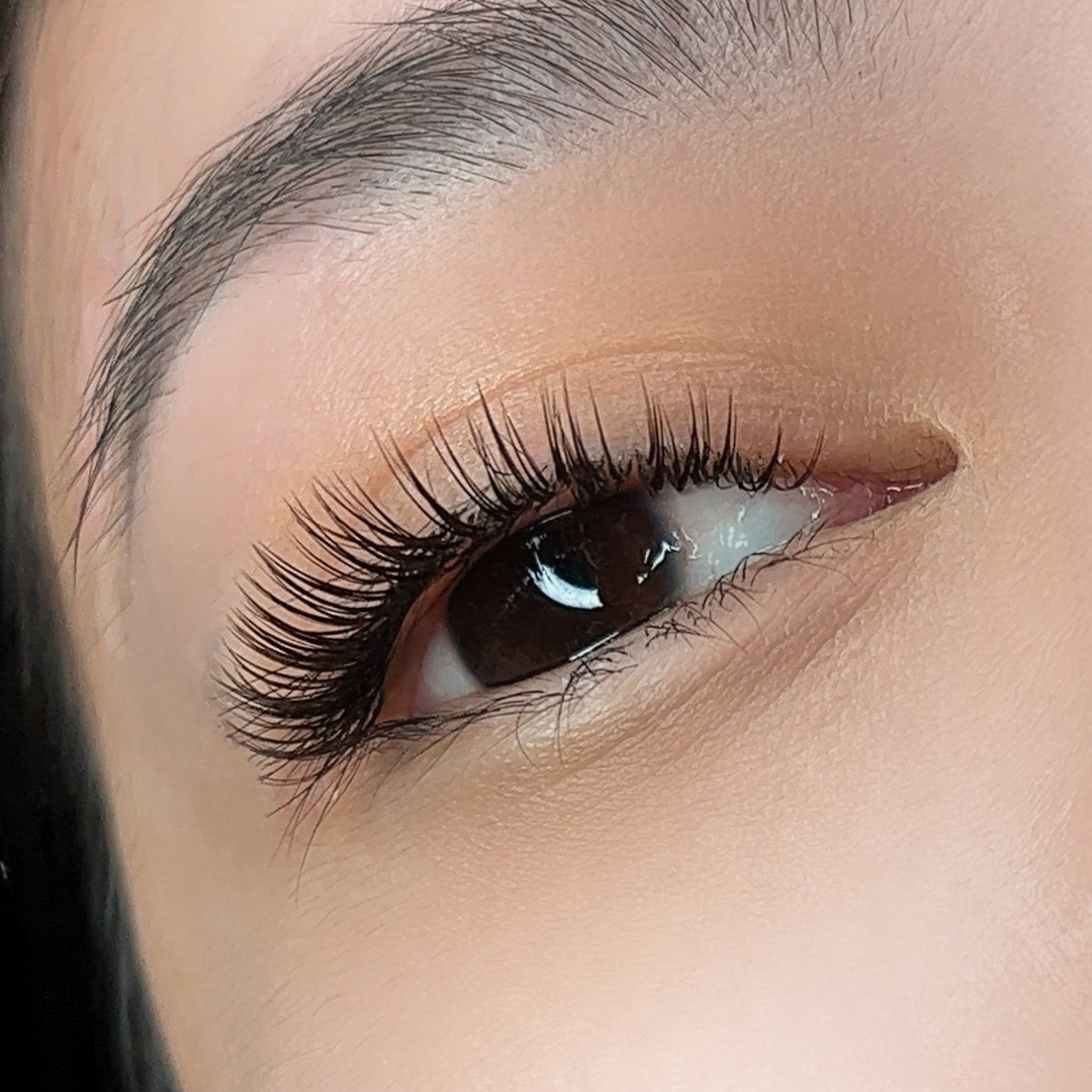 ProMade Wet Set - Brown