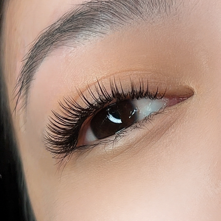 ProMade Wet Set - Brown