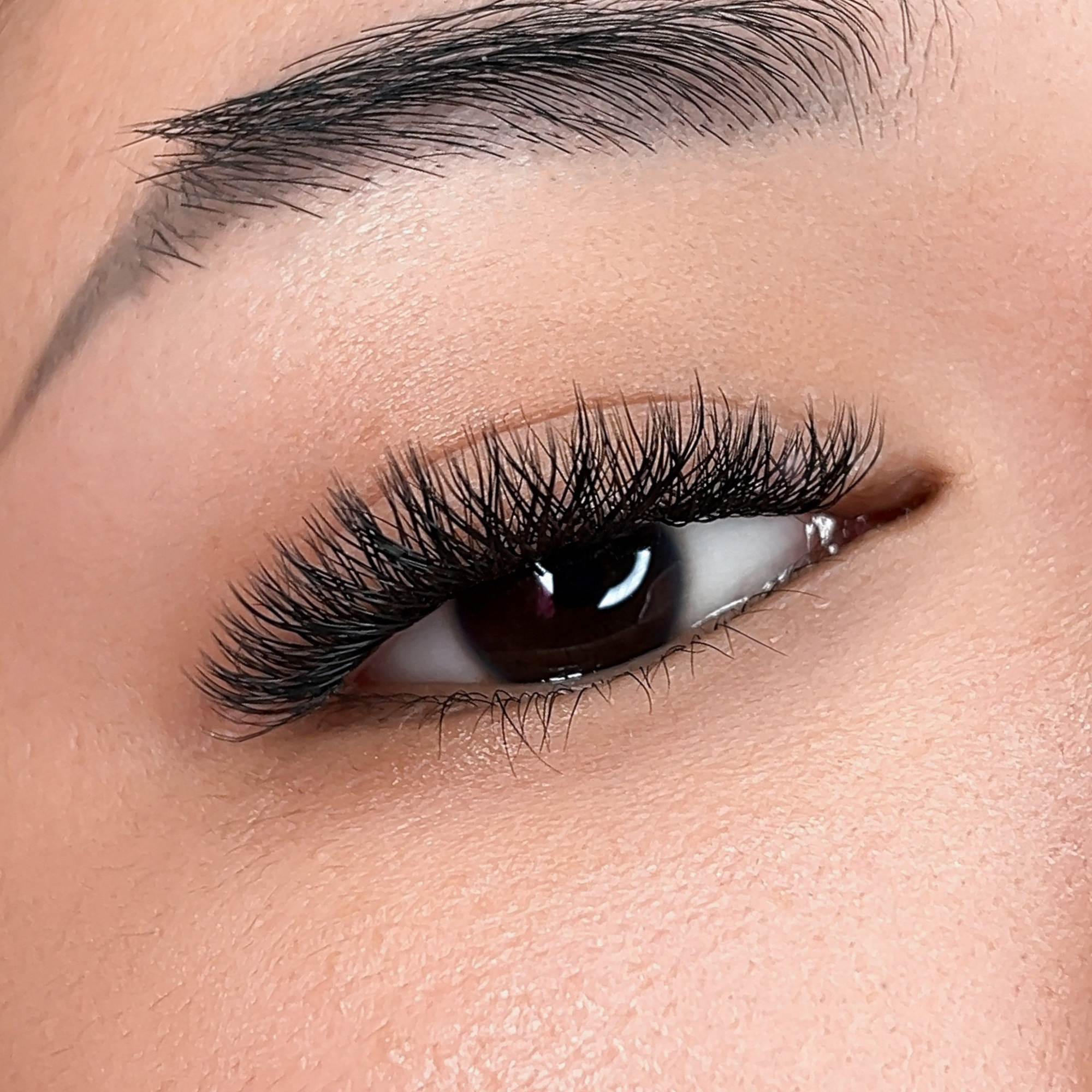 YY Lash Tray