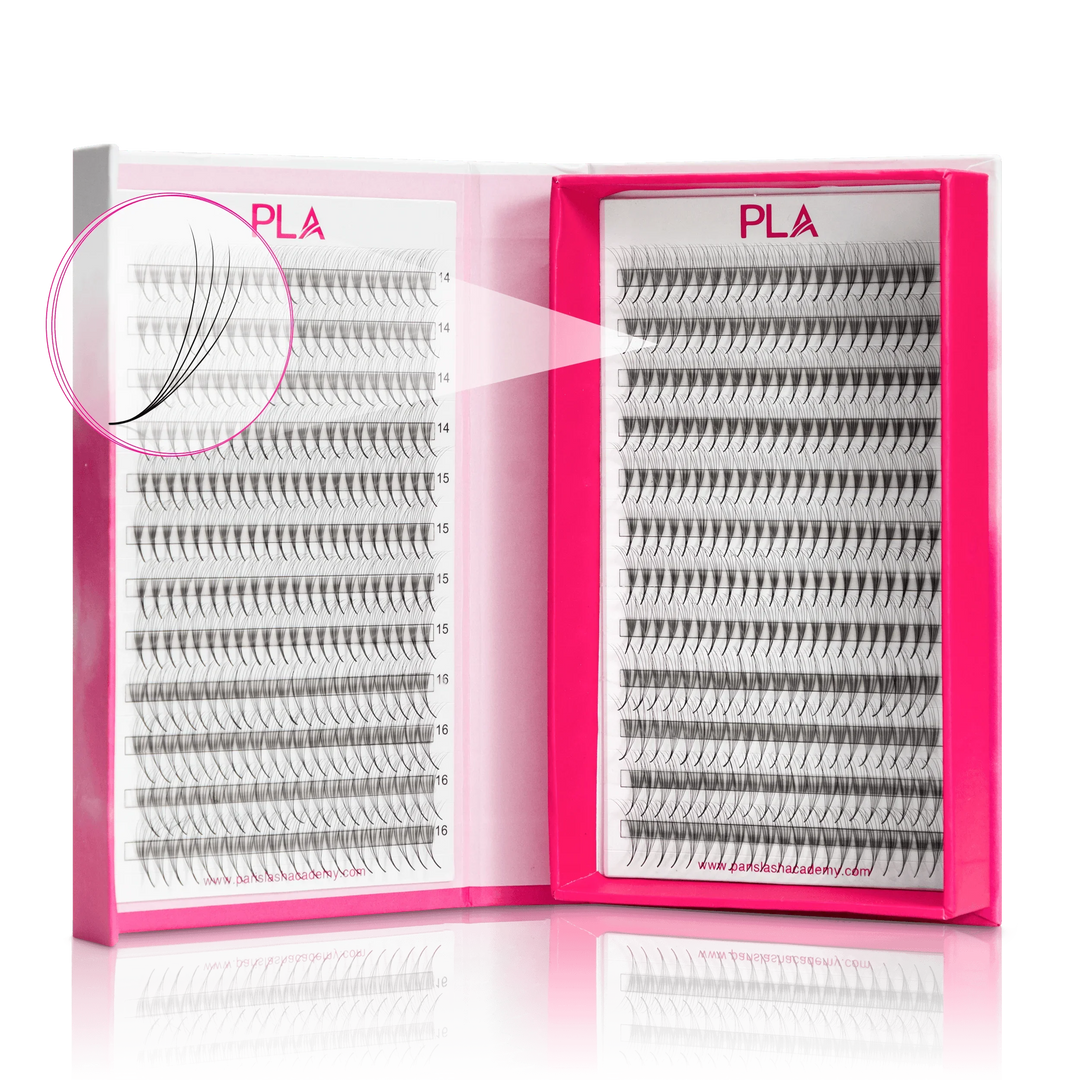 PLA’s BOLD Lashes now in 4D fans — Single Length (front view of the open lash tray, view of the individual fan)