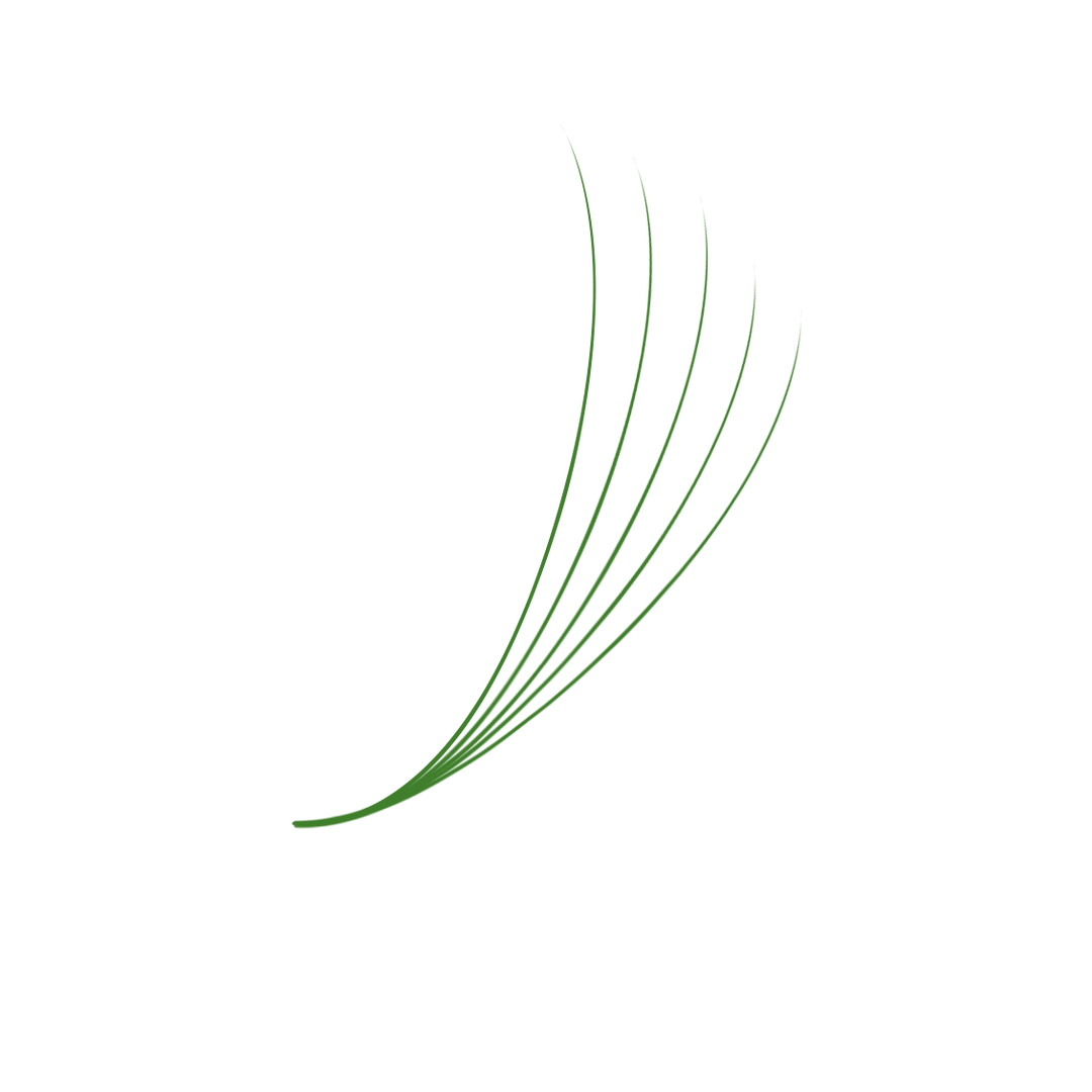 The Bold Collection: Green Mix 5D ProMade Fans
