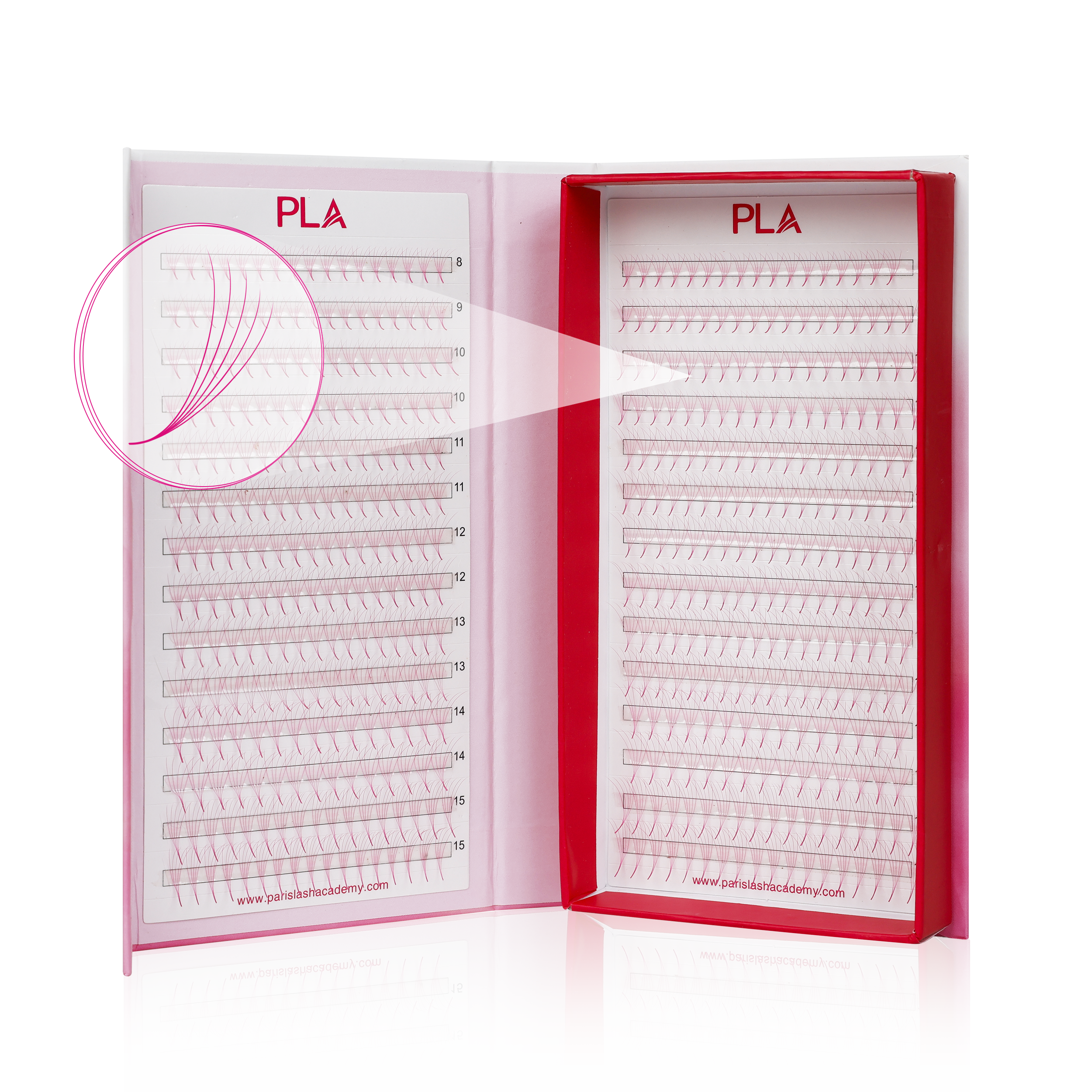 The Bold Collection: Pink Mix 5D ProMade Fans – Paris Lash Academy