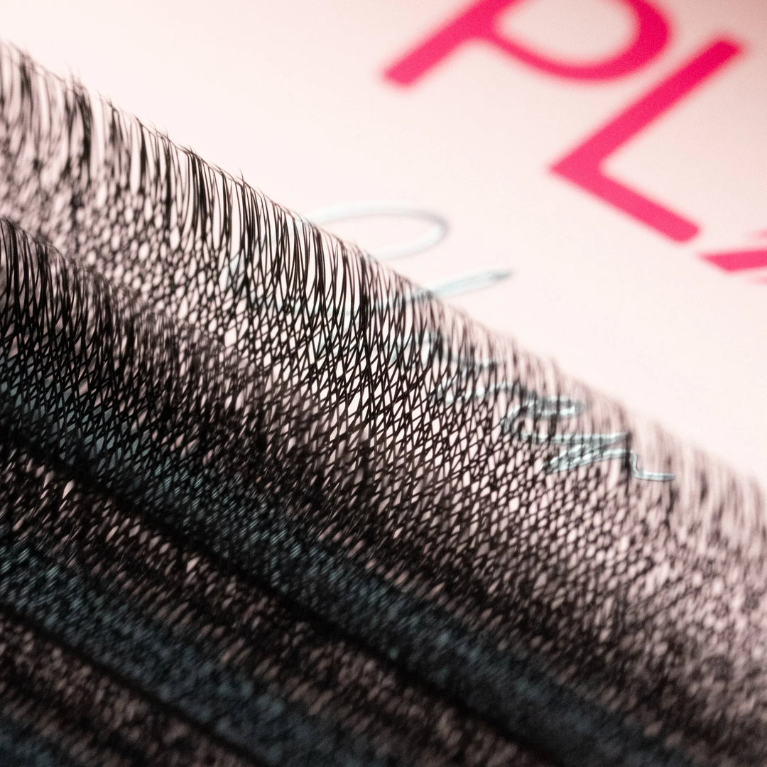 Clover lash trays from PLA Beauty Inc. — Single length (close up view of lashes in tray)